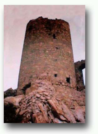 cburriac2.jpg (16681 bytes)